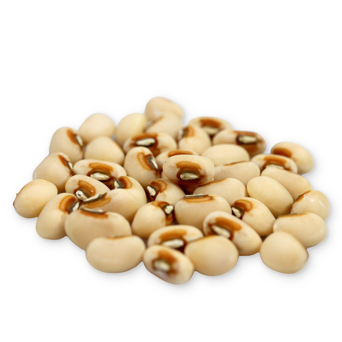 White Whippoorwill cowpeas arranged on a white background.