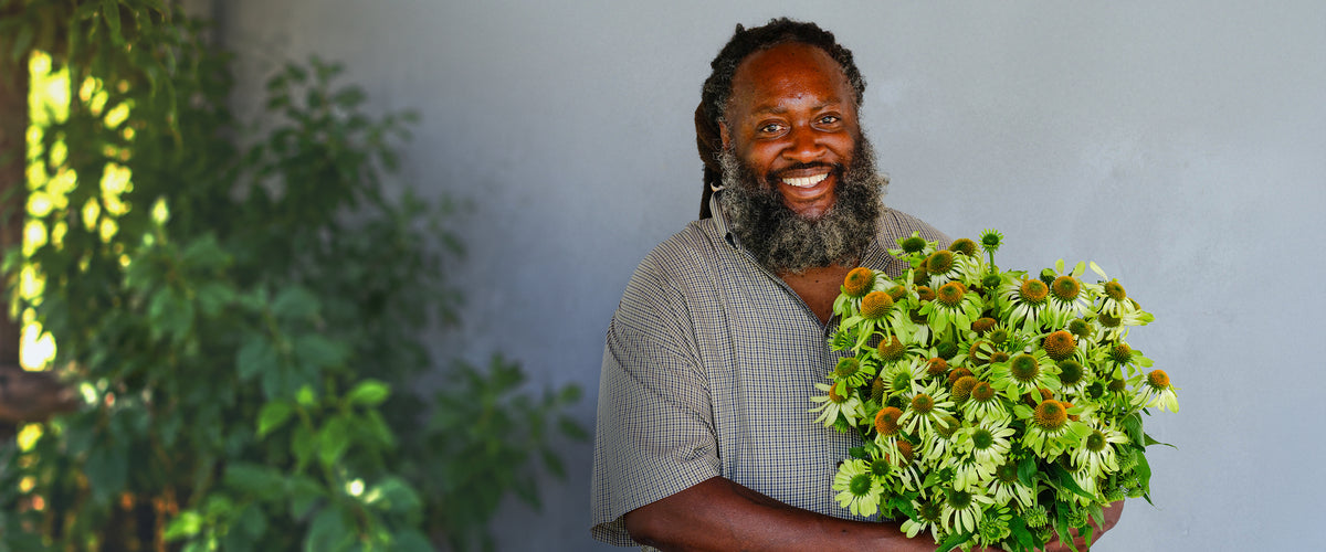 Herb Seeds collection hero