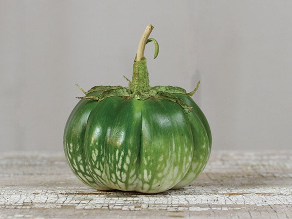 Eggplant Seeds, Cambodian Green Giant