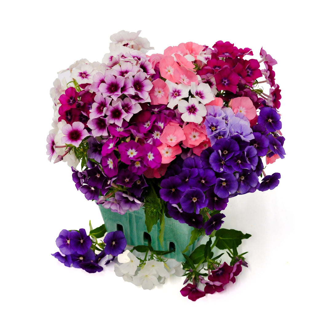 Grandiflora Tapestry Mix