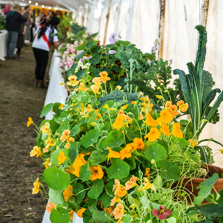 Flower Festival April 4 & 5, 2027 (per person)
