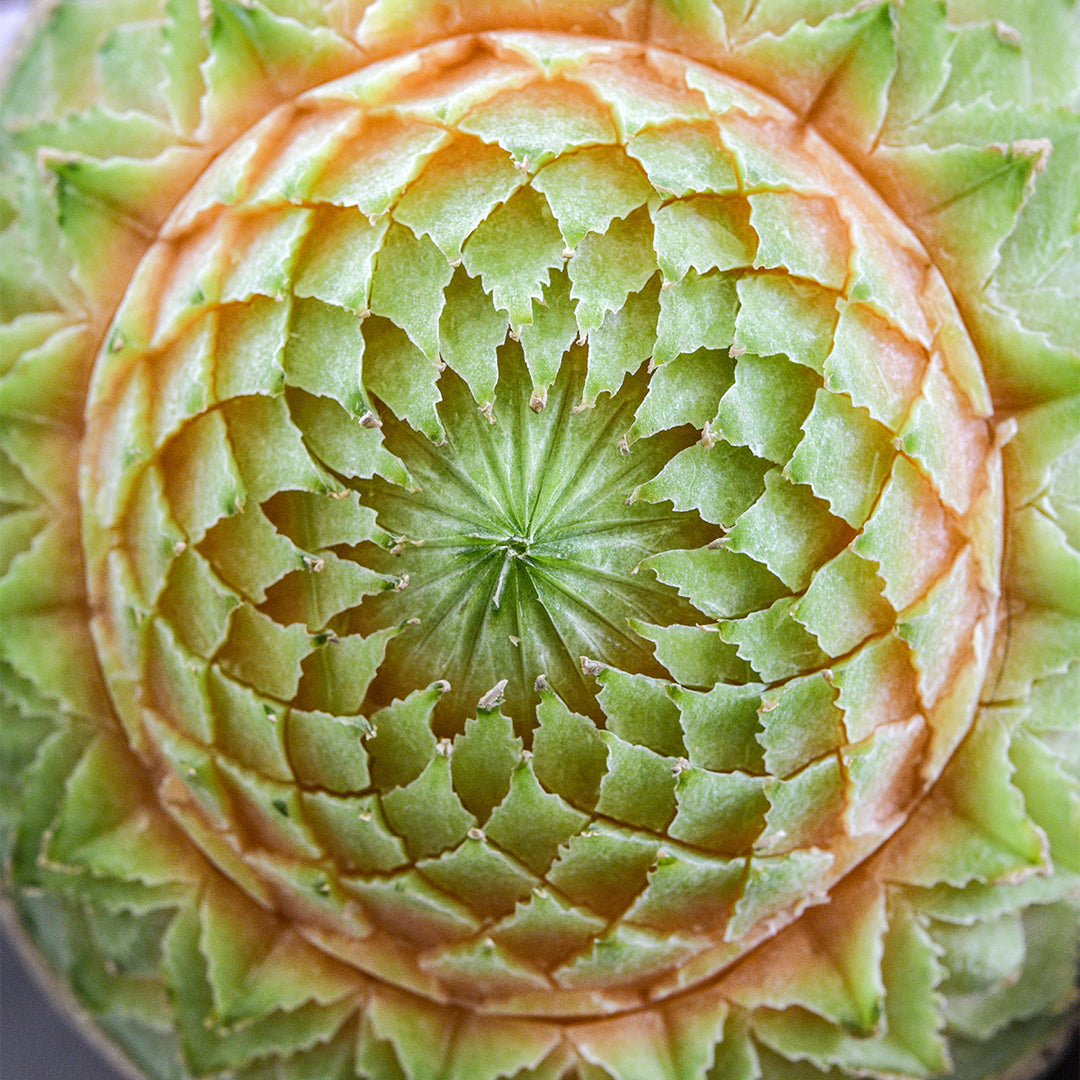 Summer Fruits Festival July 11 & 12, 2027 (per Person)