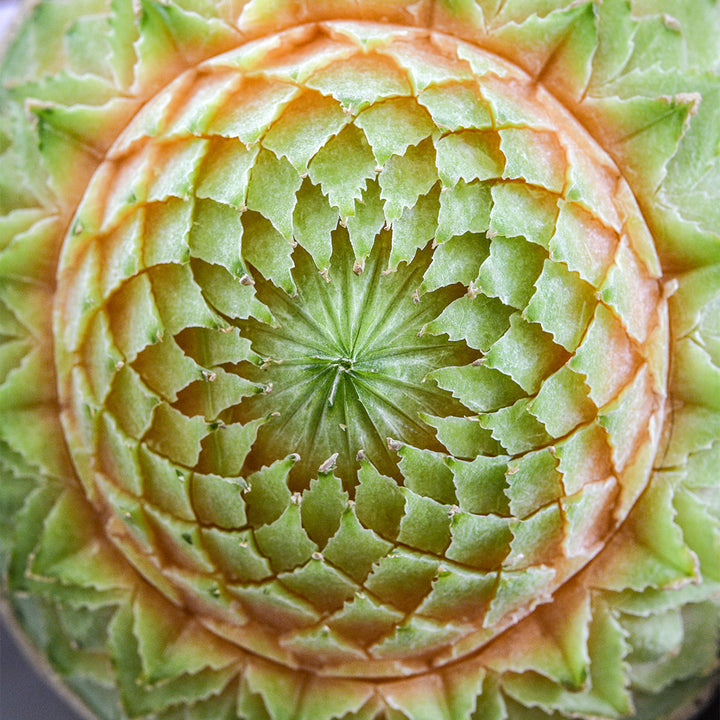 Summer Fruits Festival July 11 & 12, 2027 (per Person)