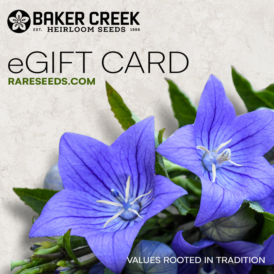 Electronic Gift Certificate