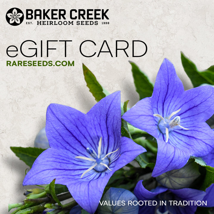 Electronic Gift Certificate
