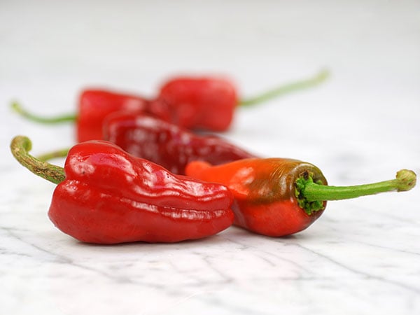 Hot Pepper Seeds, Pimiento De Padron