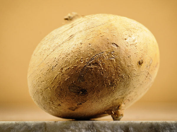 Asian Bean Seeds, Jicama or Yam