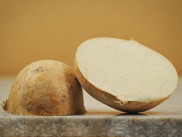 Asian Bean Seeds, Jicama or Yam