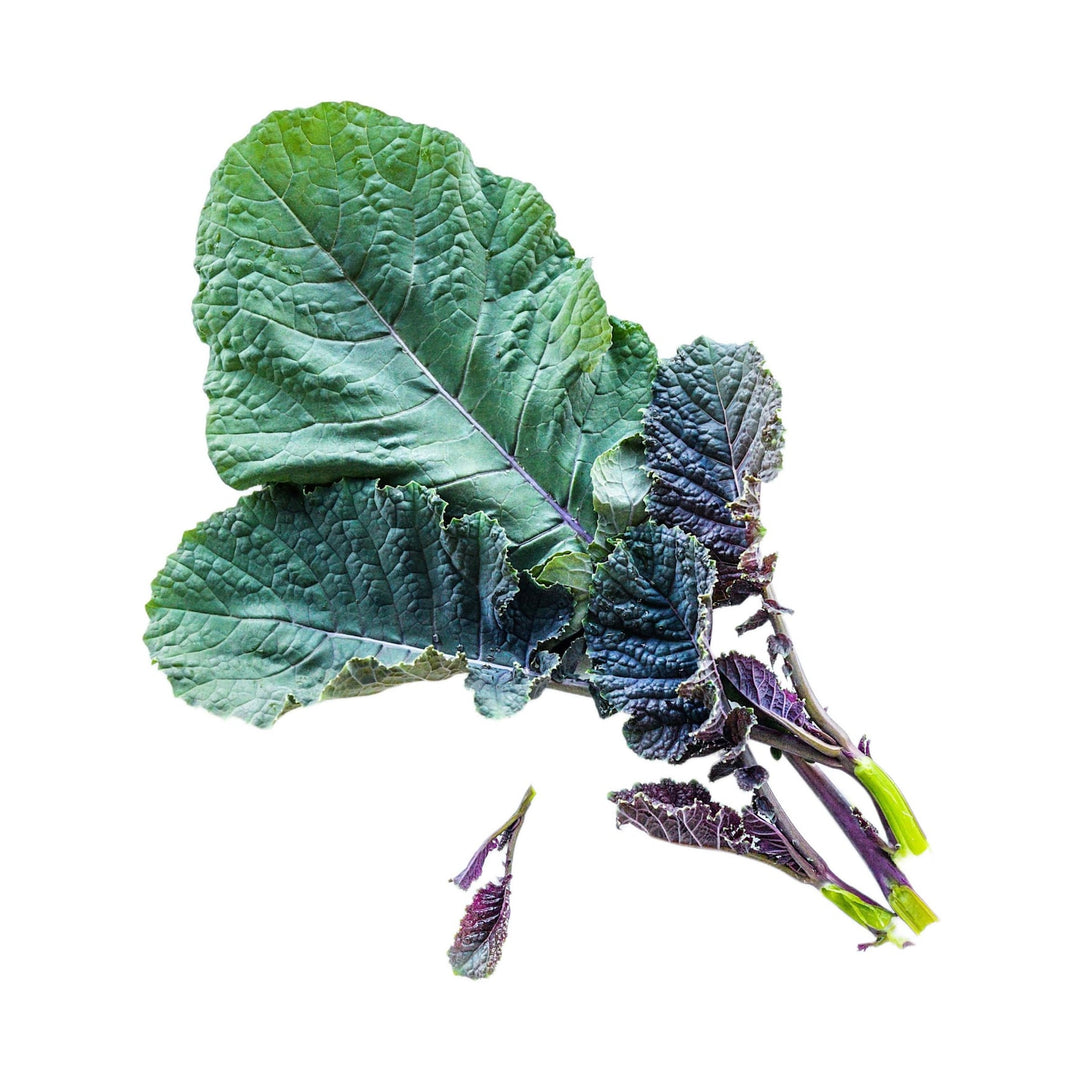 Ethiopian Kale