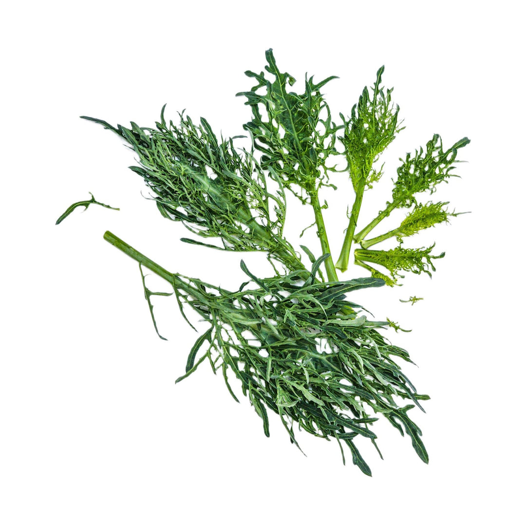 Colerizze Kale