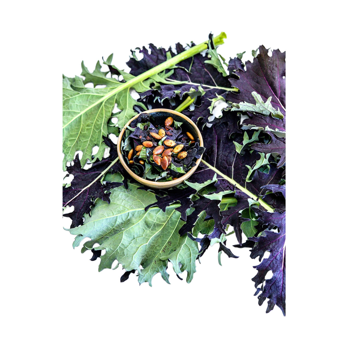 Red Ruble Kale