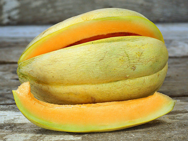 Melon Seeds, Old Time Tennessee