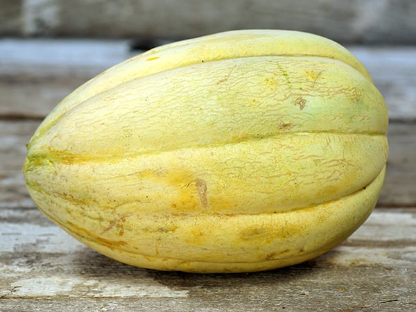 Melon Seeds, Old Time Tennessee