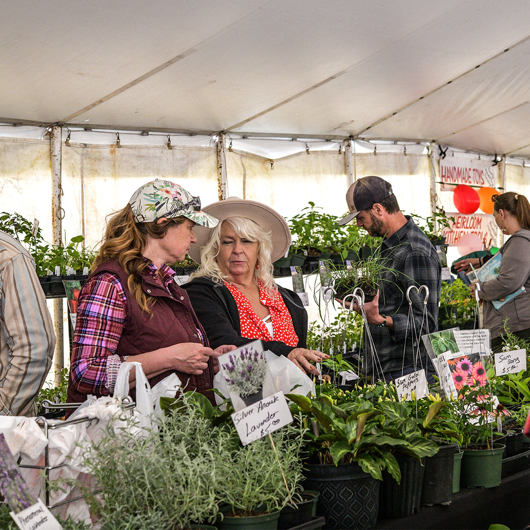Summer Fruits Festival July 11 & 12, 2027 (per Person)