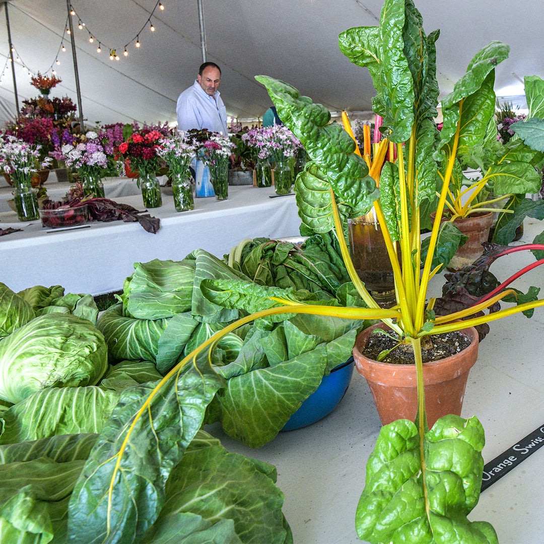 Spring Planting Festival May 2 & 3, 2027 (per Person)