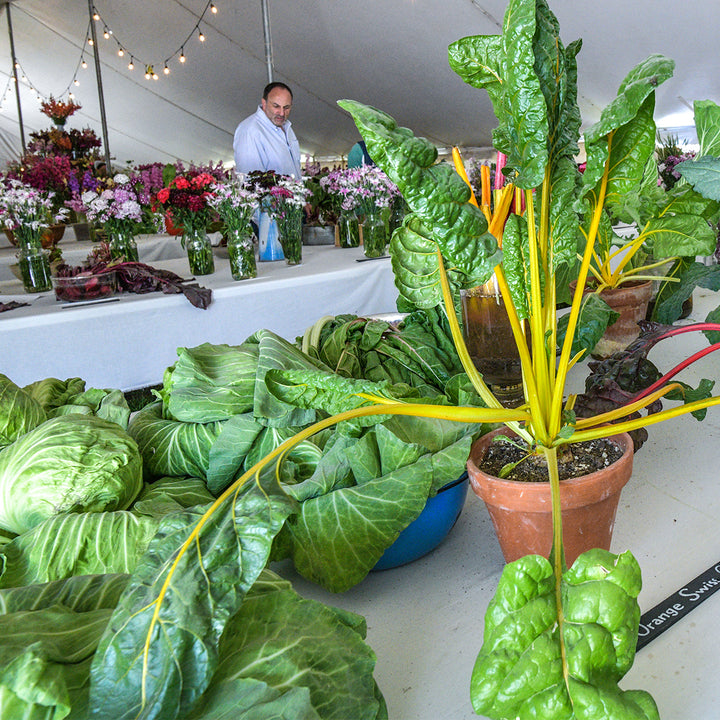 Spring Planting Festival May 2 & 3, 2027 (per Person)