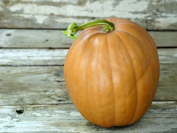 Winter Squash Seeds, Dickinson Pumpkin