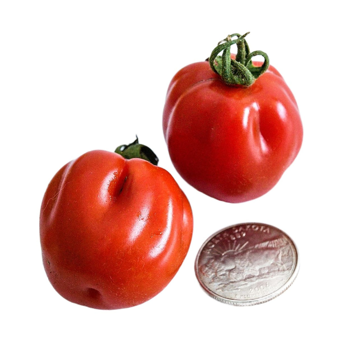 Cherry Accordion