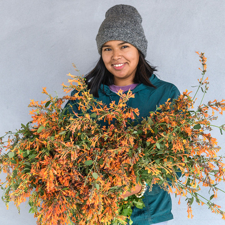 A Baker Creek employee smiles as she holds a giant bouquet of Apricot Sprite Agastache.
