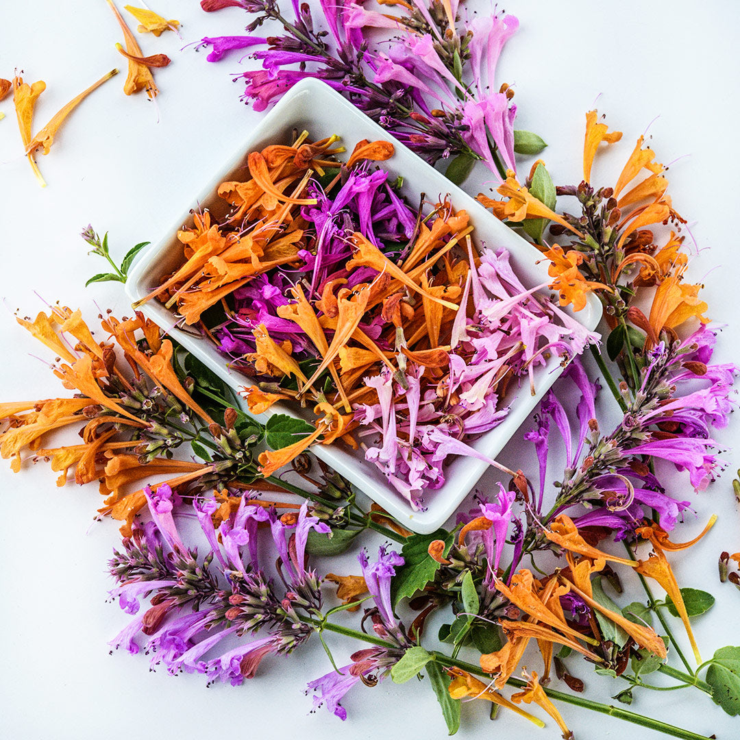 A dish full of Fragrant Delight Mix Agastache blooms surrounded by blooming stems.