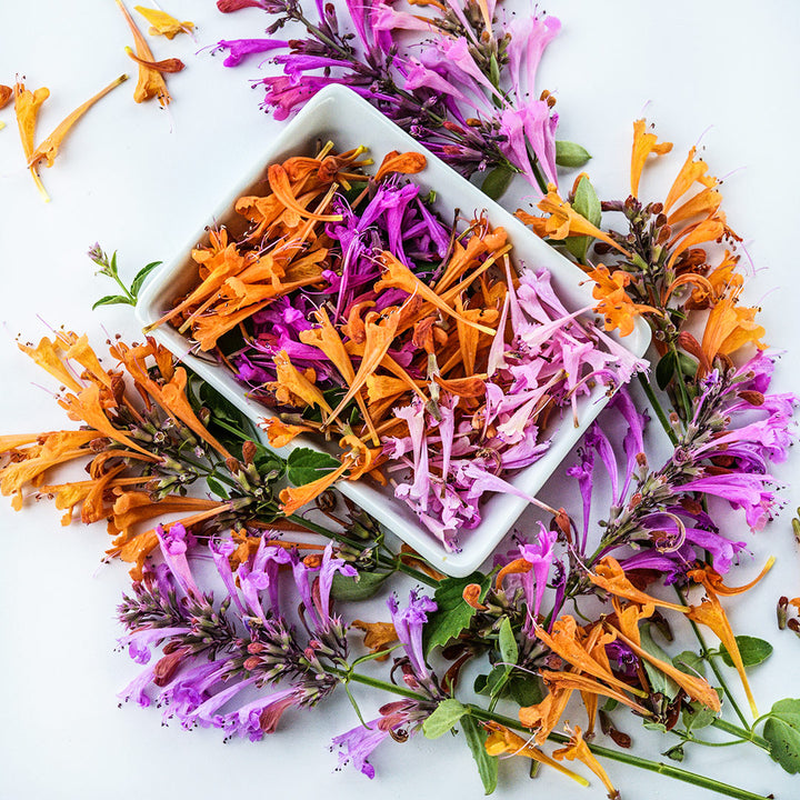 A dish full of Fragrant Delight Mix Agastache blooms surrounded by blooming stems.