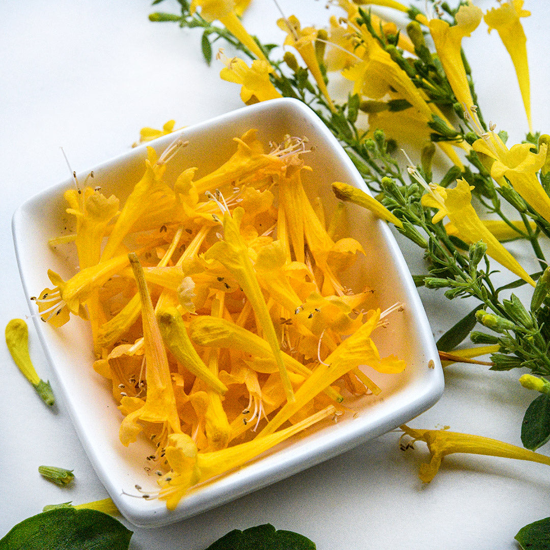 Sunset Yellow Agastache flowers in a bowl with a stem to the side on a white background.