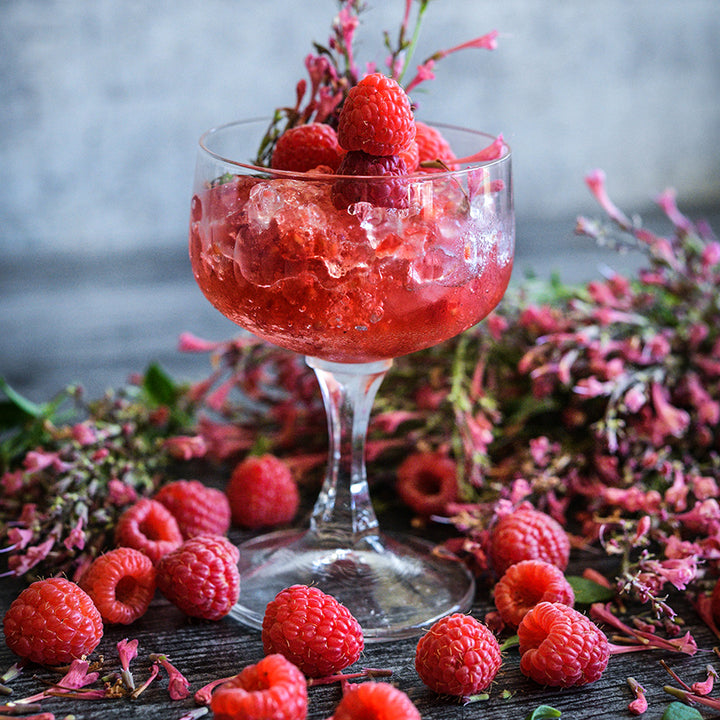 Raspberry Daiquiri Agastache with a crushed ice agastache and raspberry nonalcoholic drink.