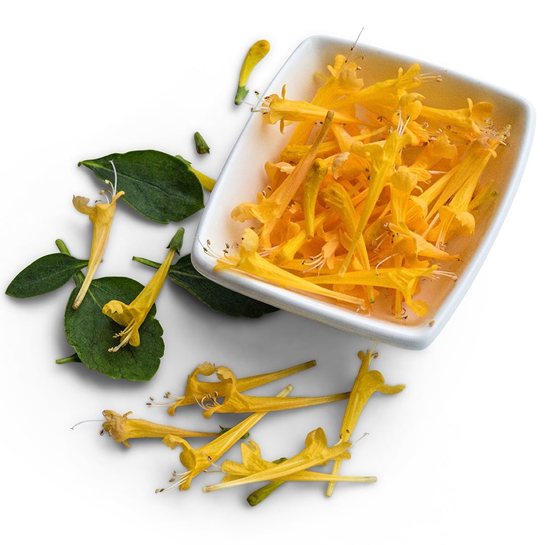 Agastache Seeds, Sunset Yellow