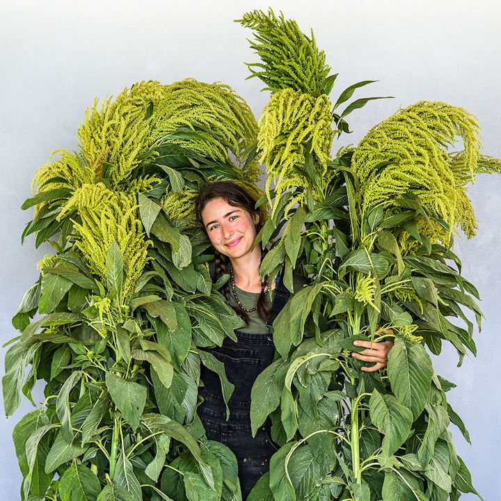 A Baker Creek employee smiles as she holds up giant stalks of Aurelia's Verde Amaranth.