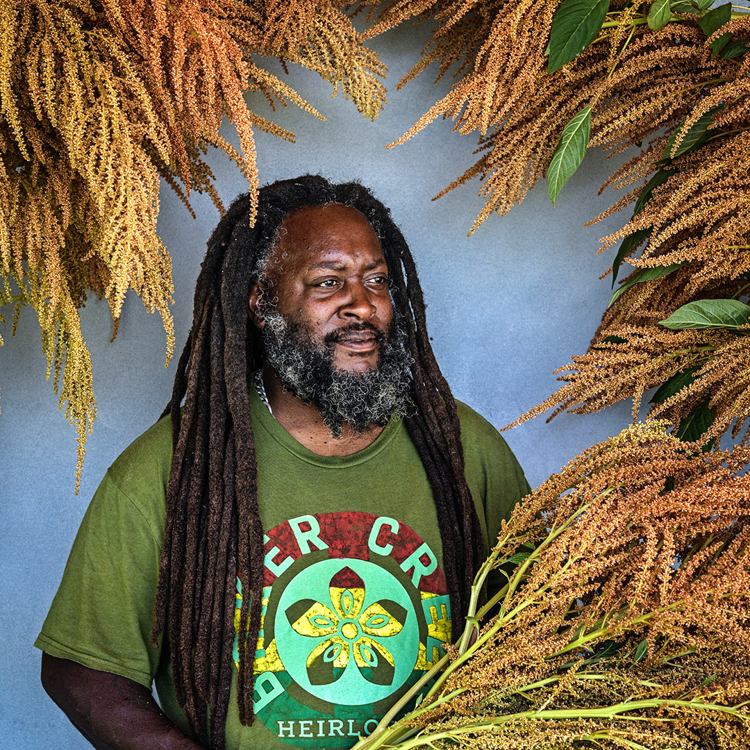 Farmer Frank smiles while surrounded by Golden Giant Amaranth.