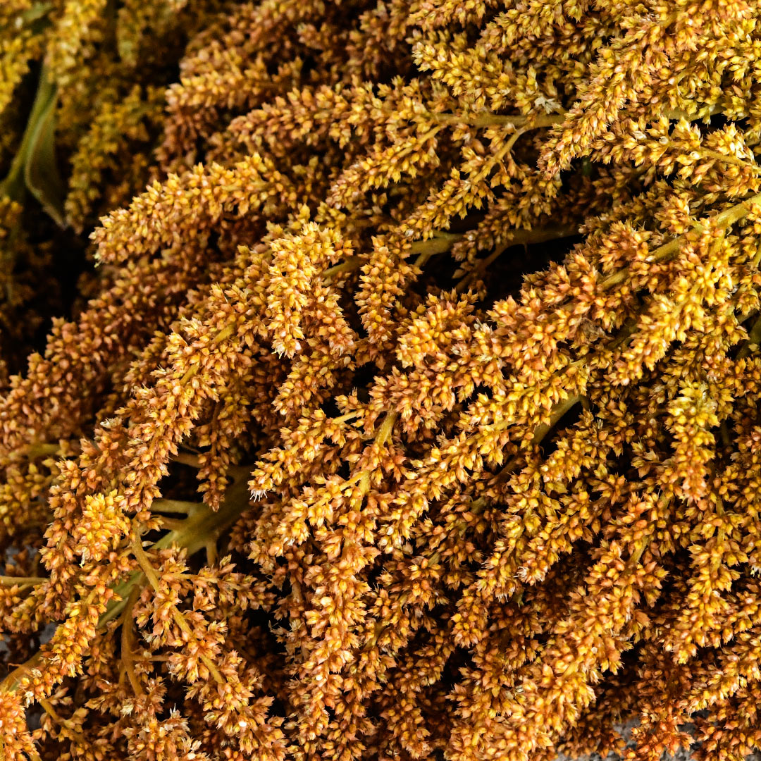Detail of a Juana&
