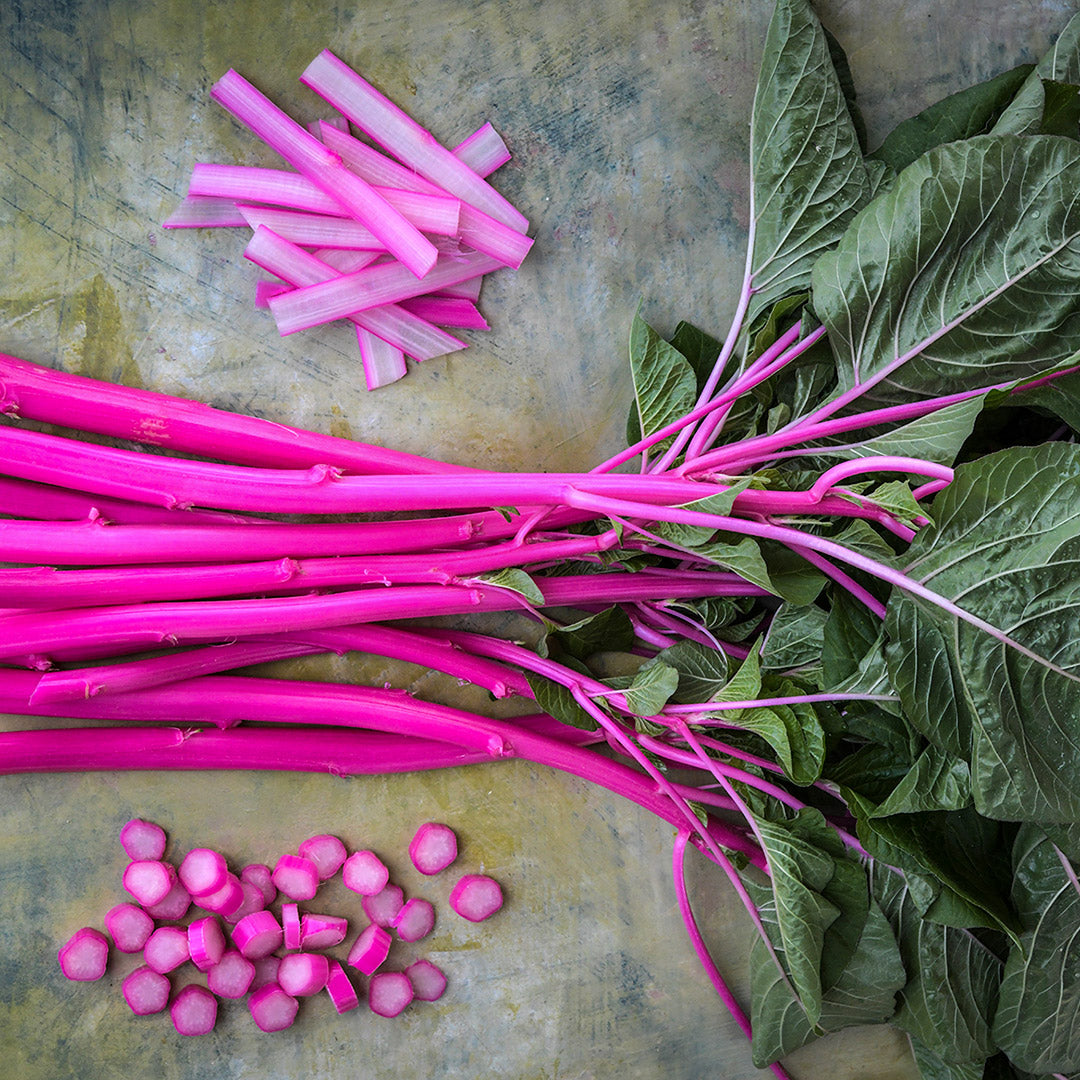 Cut and whole stems of Pink Beauty Amaranth on a pastel subdued background.