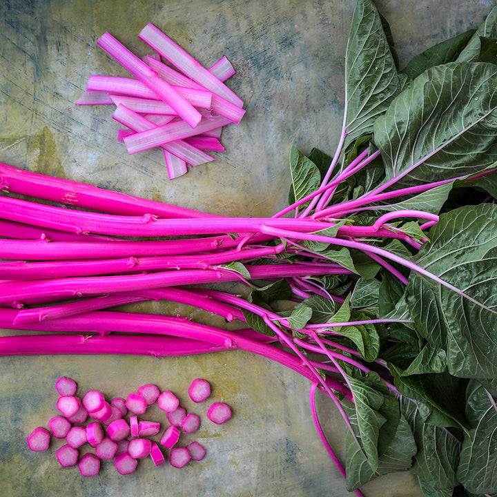 Cut and whole stems of Pink Beauty Amaranth on a pastel subdued background.