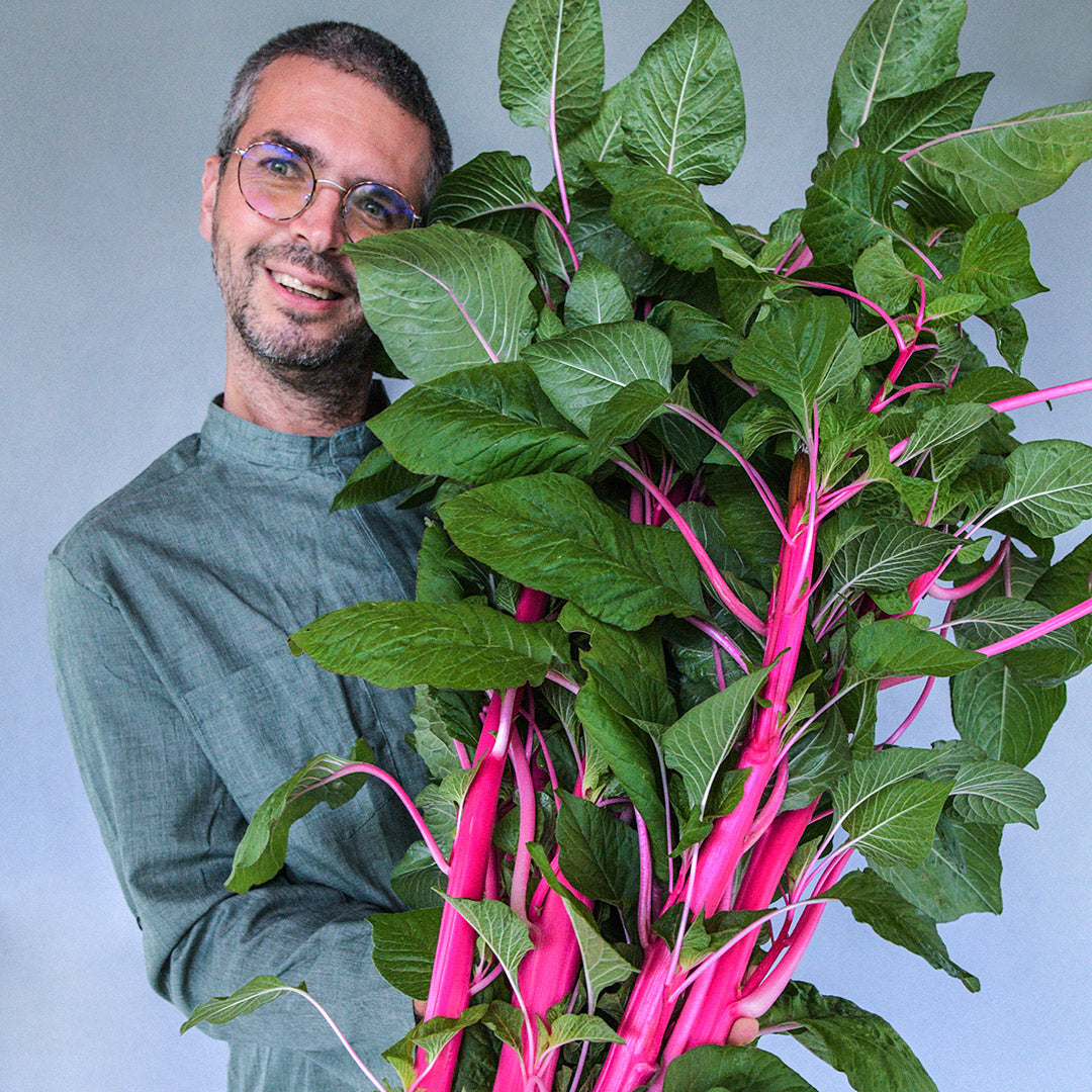 Jere Gettle smiles while holding a giant bunch of Pink Beauty Amaranth against a grey wall.