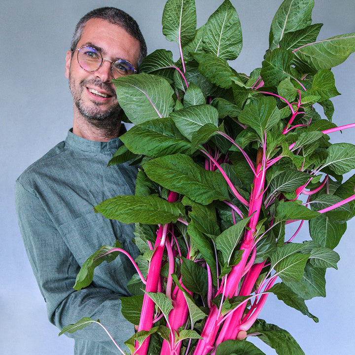 Jere Gettle smiles while holding a giant bunch of Pink Beauty Amaranth against a grey wall.