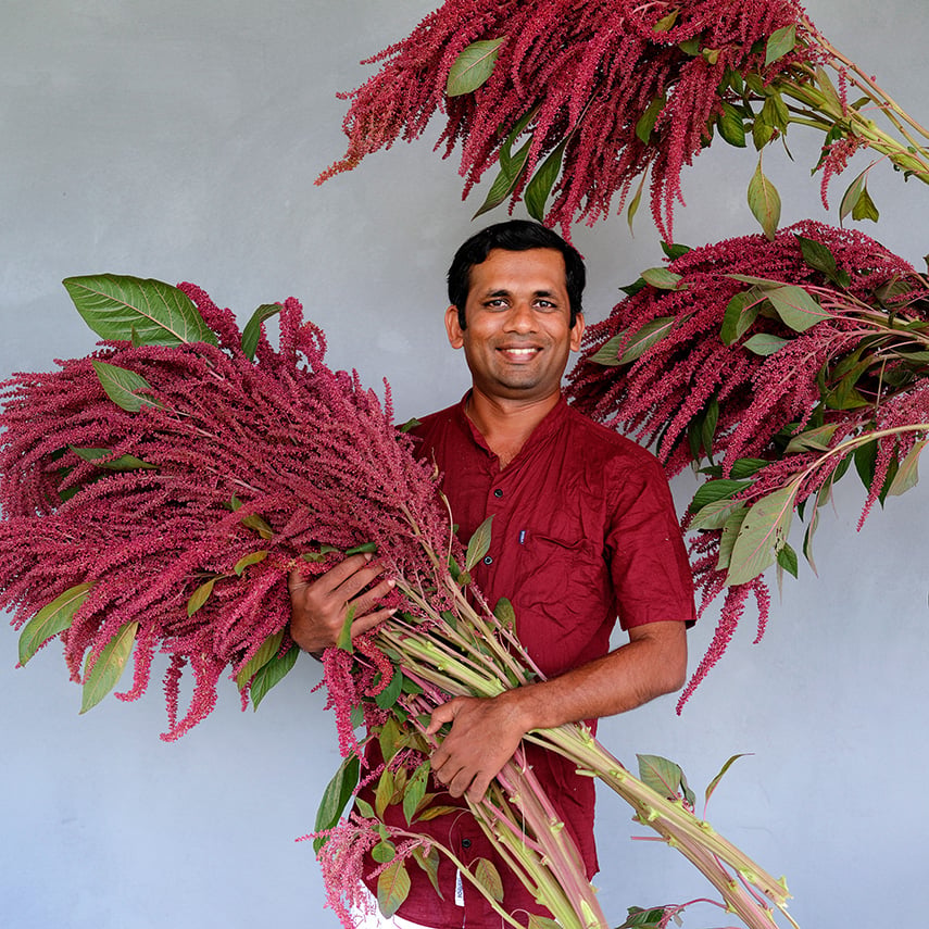 A MESA intern wearing his traditional Sri Lanka dress while holding an armful of Elena&