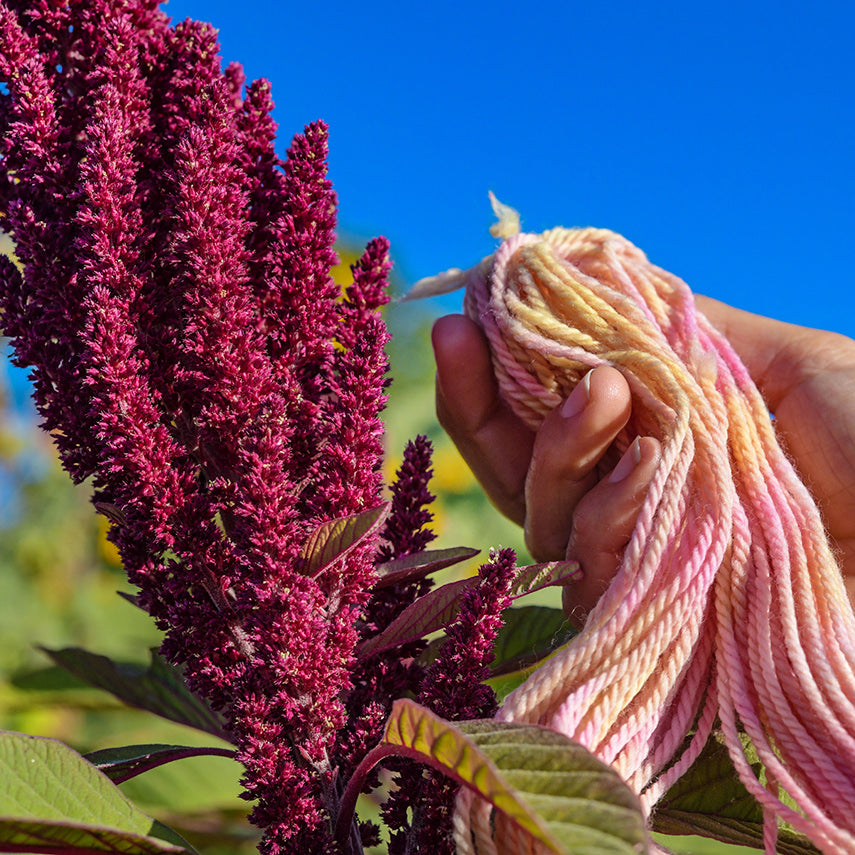 A hand holding yarn that was dyed with Elena&