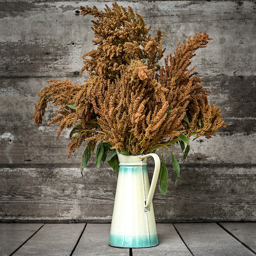 A floral arrangement of Golden Giant Amaranth in a tall tan pitcher against a weathered wood background.