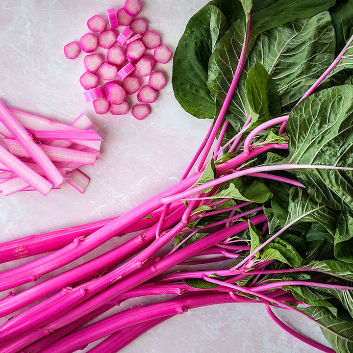 Cut and whole stalks of Pink Beauty Amaranth on light pink marbled background.