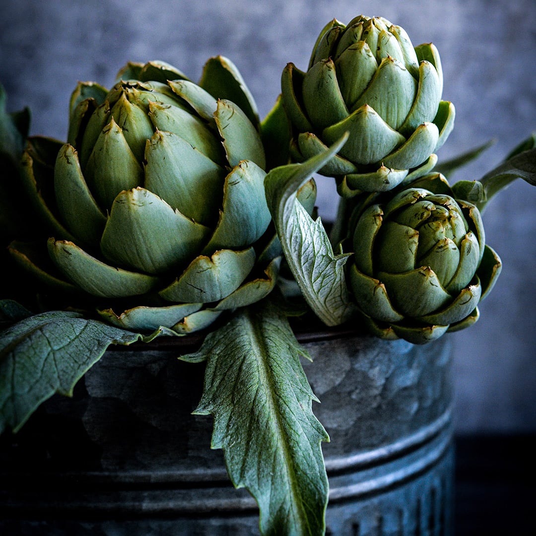 Close-up of Green Globe Artichokes on a dark grey background with dramatic lighting.