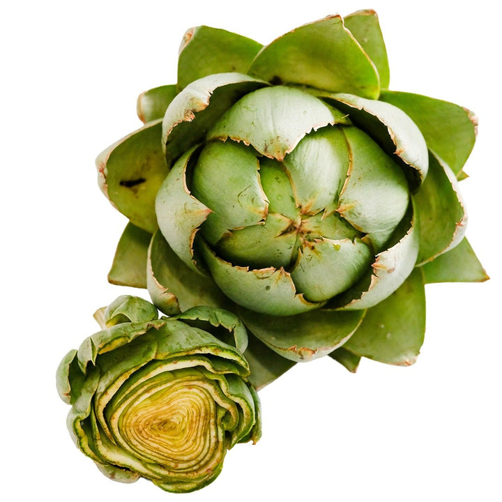 Cut and whole Green Globe Artichokes on a white background.