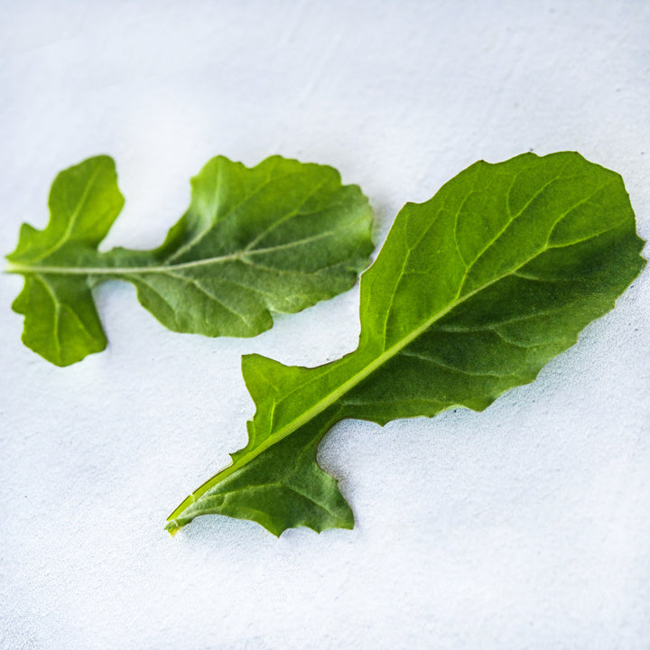 A couple of Common Arugula leaves on a light background.