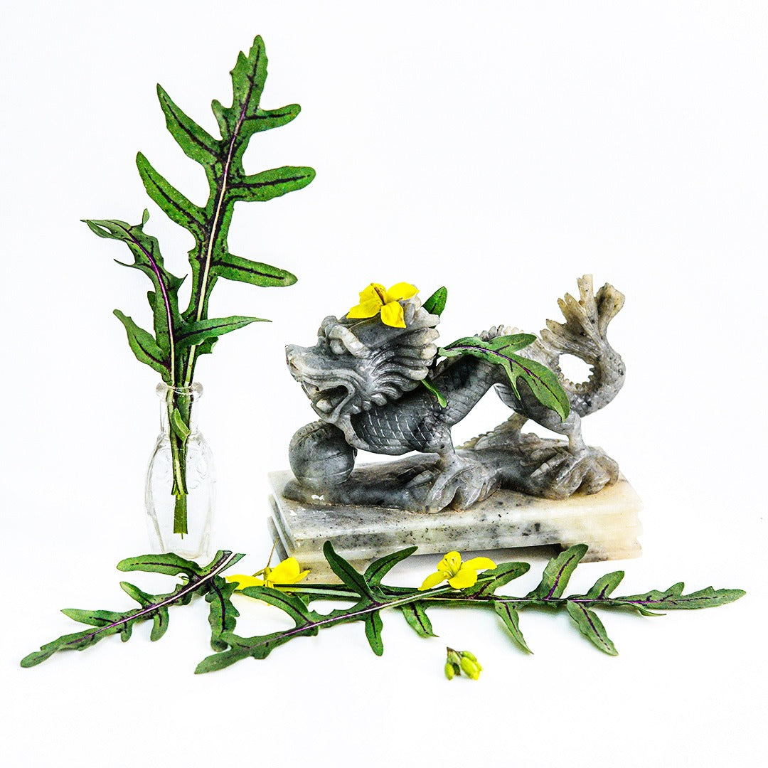 Red Dragon Arugula with a vintage dragon figurine and blooms on white.