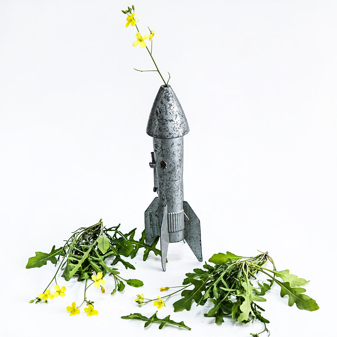 Wild Rocket Arugula with a toy rocket used as vase on a white background.