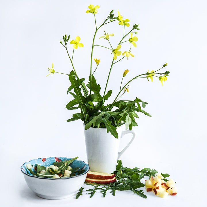 Wild Rocket Arugula in a white vase with a salad in a bowl on white.