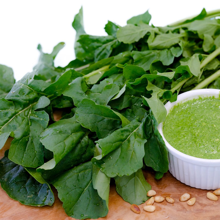 Fresh Common Arugula with arugula pesto surrounded with pine nuts on a wood cutting board.