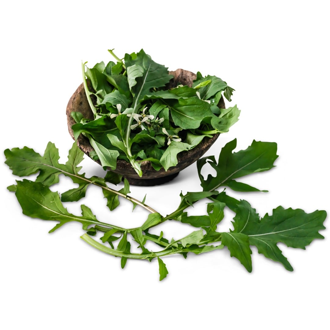 Arugula Seeds, Neimatt's Battir