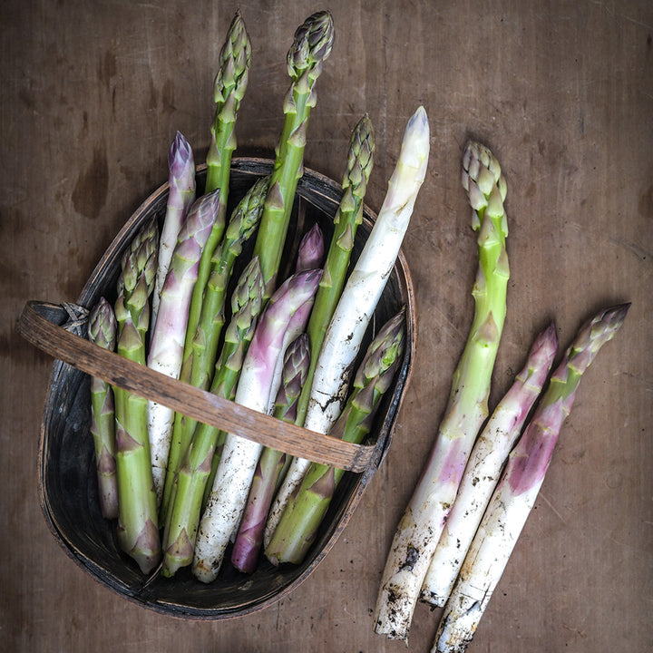 Freshly picked Conovers Colossal Asparagus in a wood basket on a wooden cutting board.
