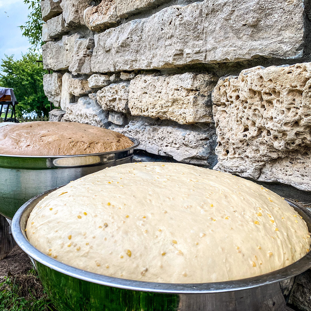 Bread made from Old World Sourdough Starter rising by the stone oven.