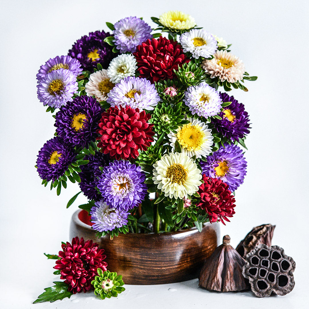 A floral arrangement of Matsumoto Formula Mixed Asters with lotus pods on white.